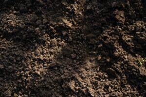 Topsoil (Commercial)
